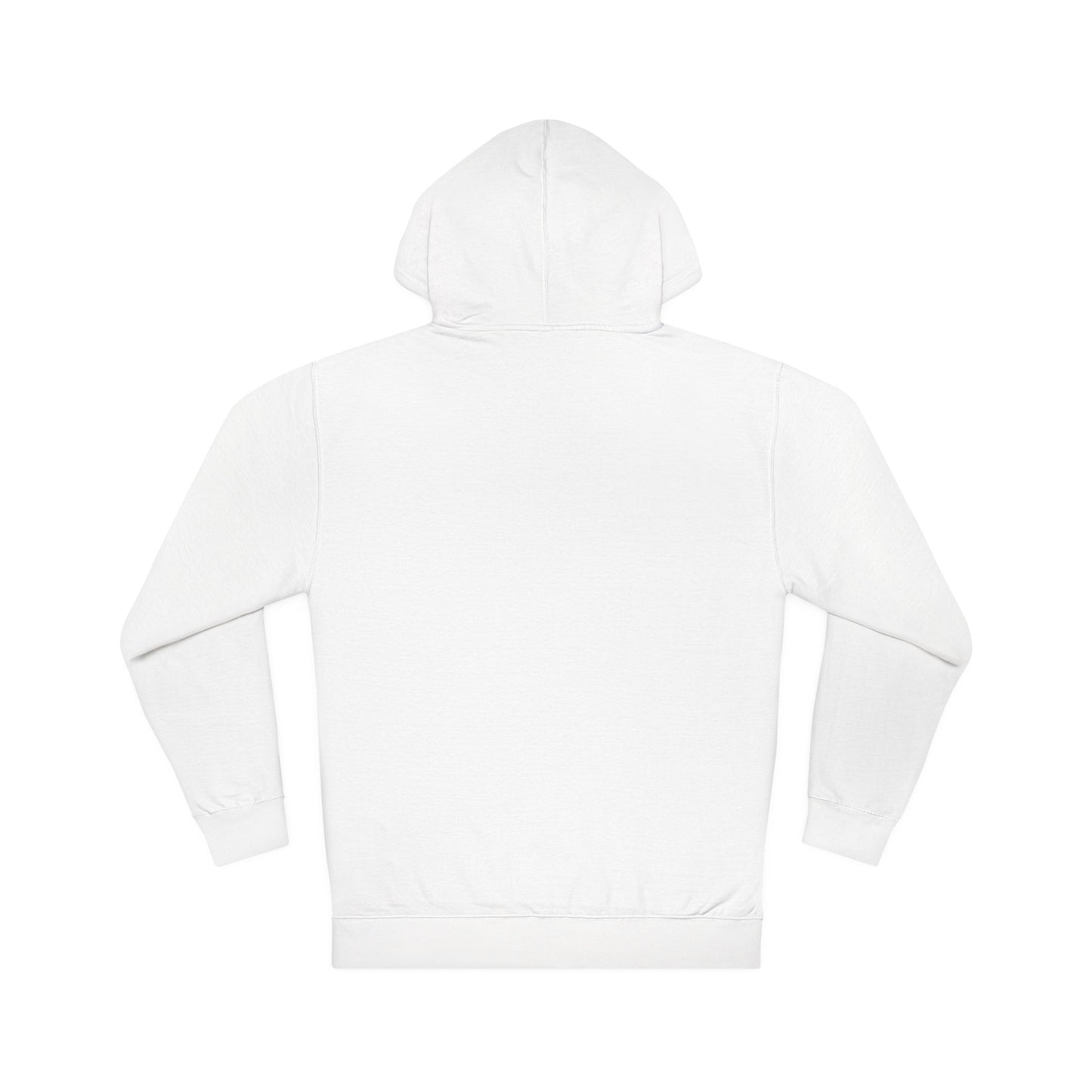 Hockey Boy Hoodie "School Is Important, Hockey Is Importanter"